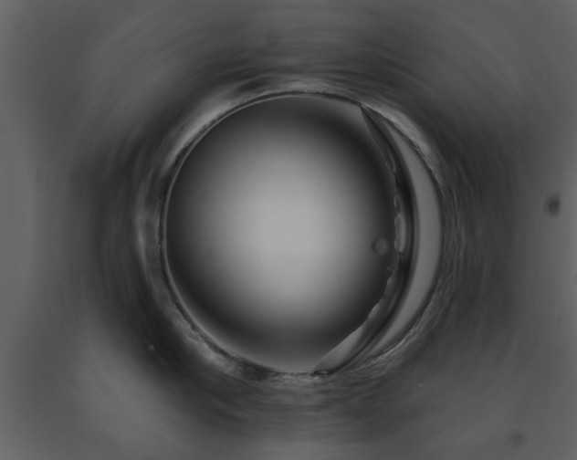 X0000091700910200708241220