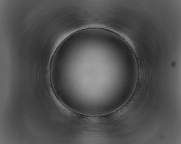 X0000091700911200708241220