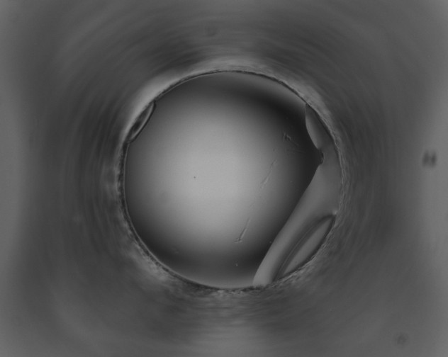 X0000091700912200708241220