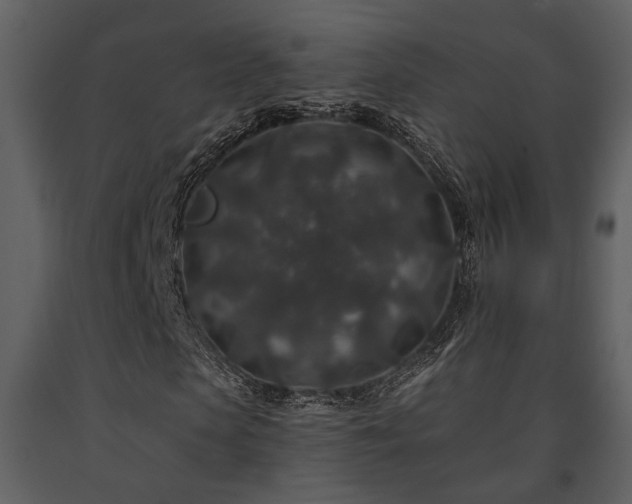 X0000091700913200708241219