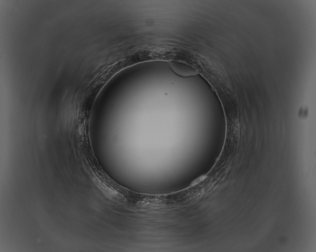 X0000091700914200708241219