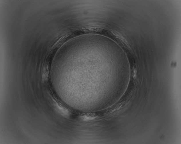 X0000091700915200708241219