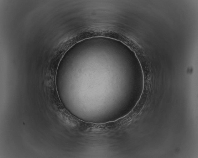 X0000091700917200708241220