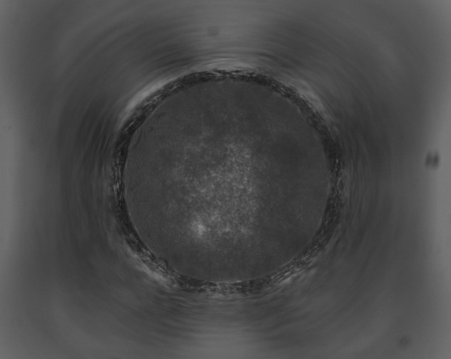 X0000091700920200708241220