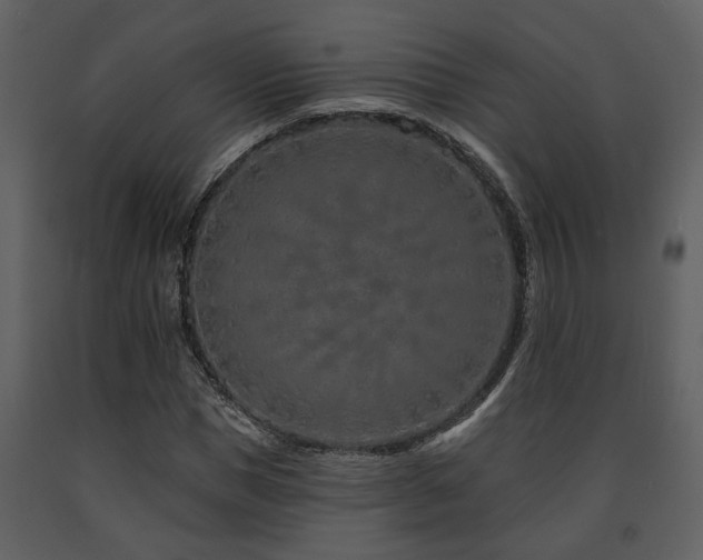X0000091700921200708241220