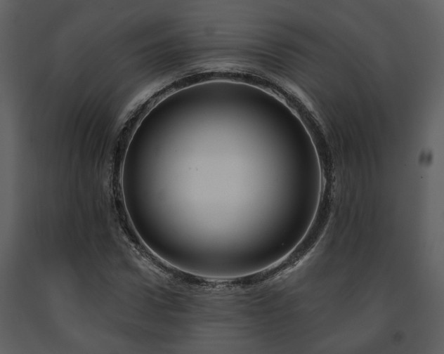 X0000091700922200708241220