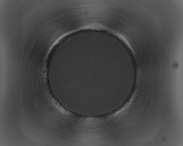 X0000091700923200708241220