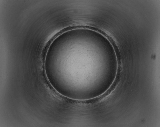X0000091700925200708241220