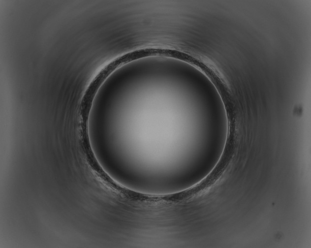 X0000091700926200708241220