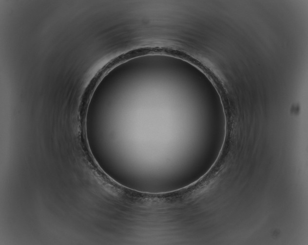 X0000091700927200708241220