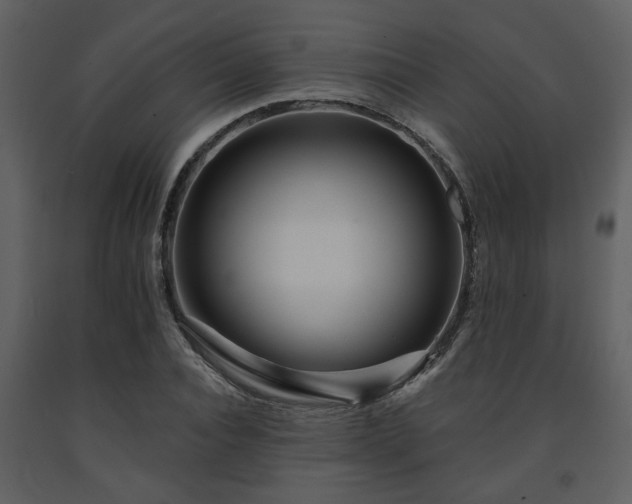 X0000091700928200708241220