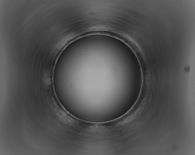 X0000091700929200708241220