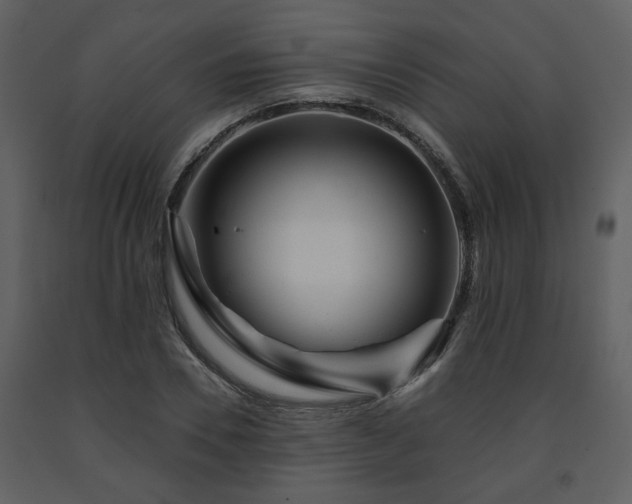 X0000091700930200708241220