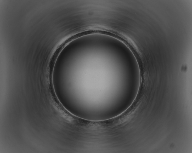 X0000091700931200708241220