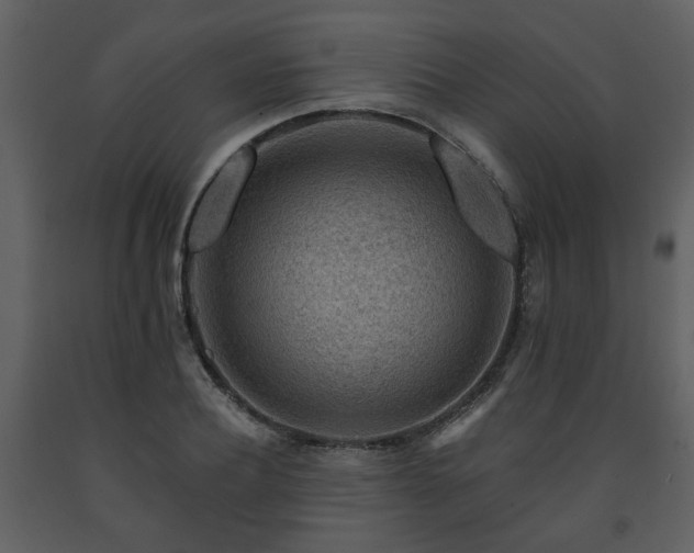 X0000091700932200708241220