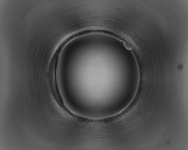 X0000091700934200708241220