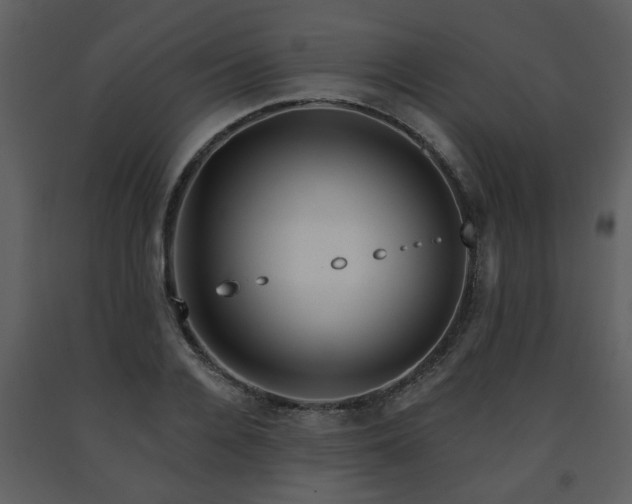 X0000091700936200708241220