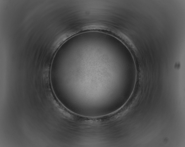 X0000091700937200708241220