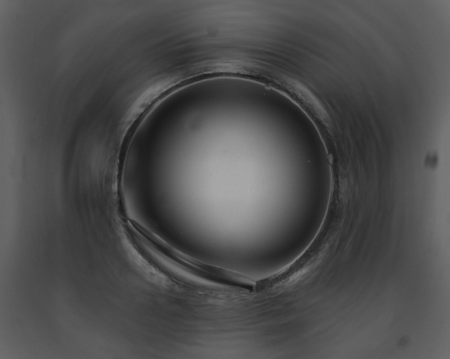 X0000091700938200708241220