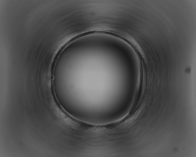 X0000091700939200708241220