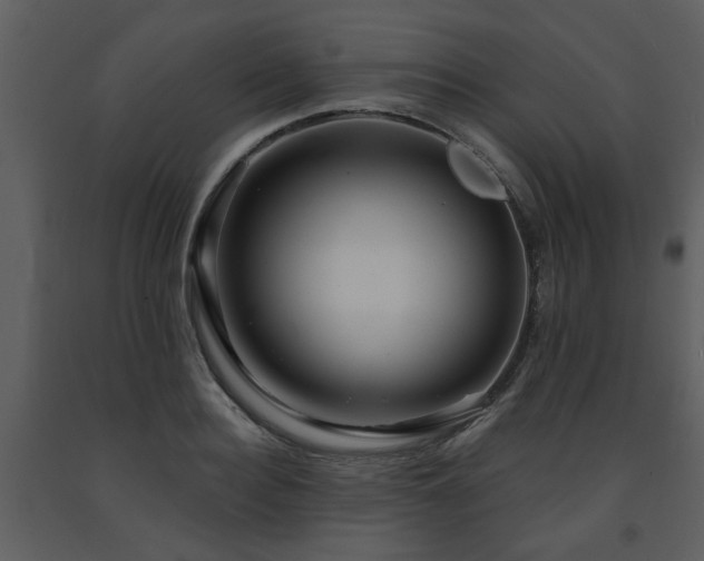 X0000091700940200708241220