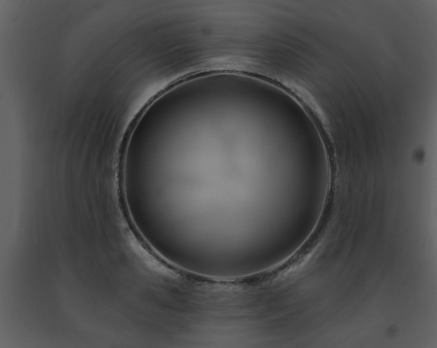 X0000091700941200708241220