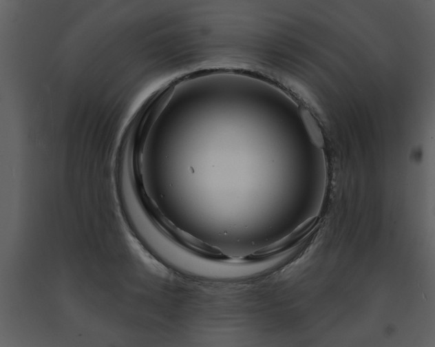 X0000091700942200708241220
