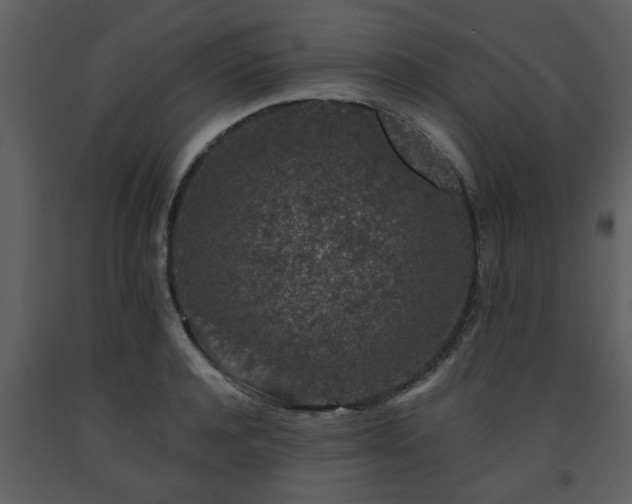 X0000091700944200708241220