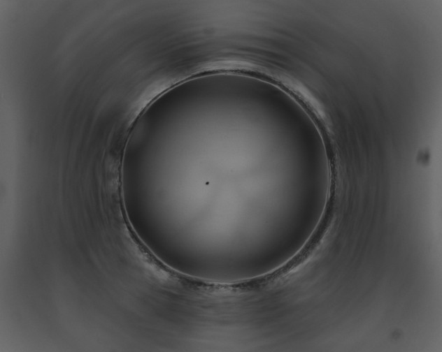 X0000091700945200708241220