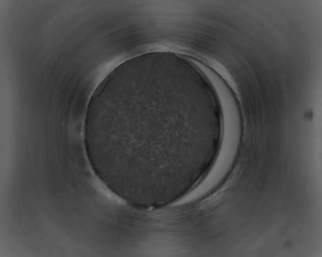 X0000091700946200708241220