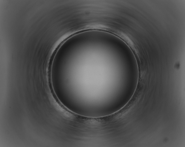 X0000091700947200708241220