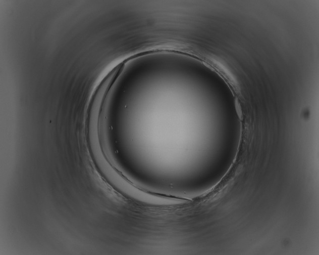 X0000091700948200708241220