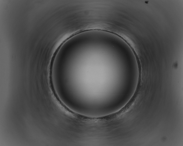 X0000091700949200708241220