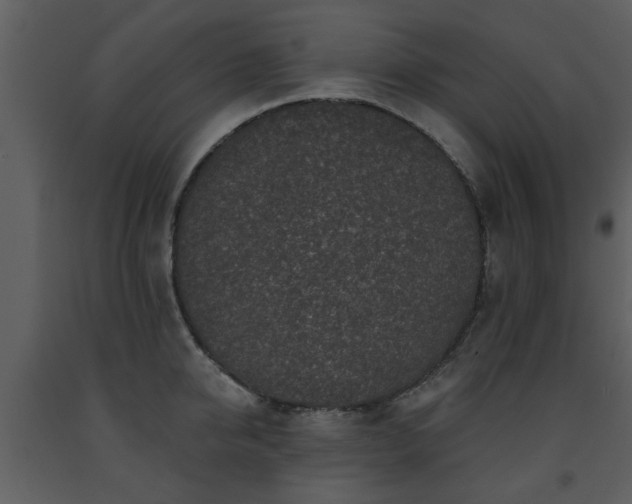 X0000091700950200708241220