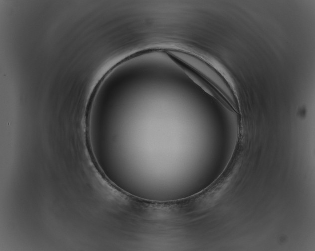 X0000091700951200708241220