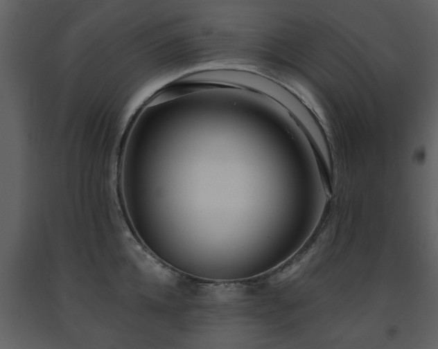 X0000091700952200708241220