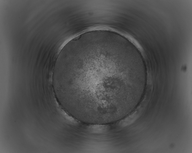 X0000091700953200708241220