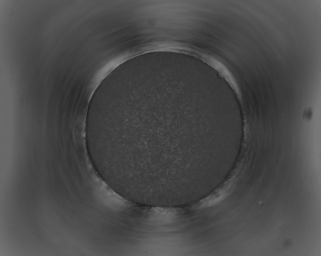 X0000091700954200708241220