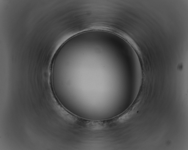 X0000091700955200708241220