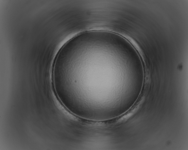 X0000091700957200708241220