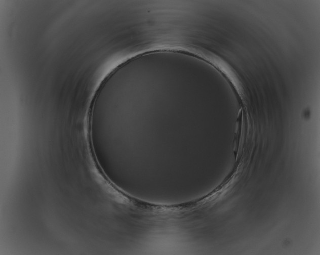 X0000091700958200708241220
