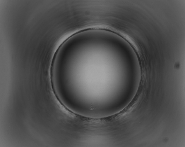 X0000091700959200708241220
