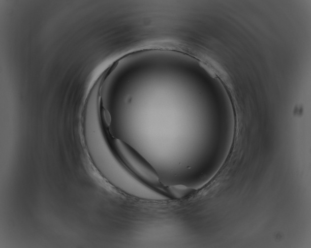 X0000091700960200708241220