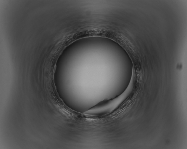 X0000091700961200708241219
