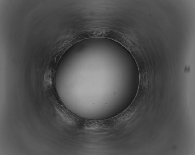 X0000091700962200708241219