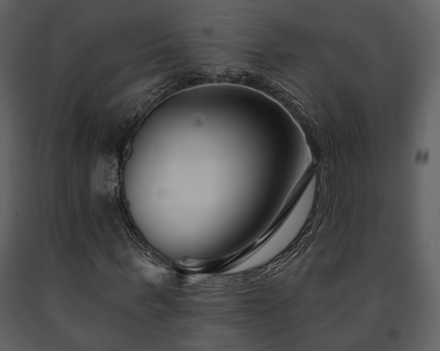 X0000091700963200708241219