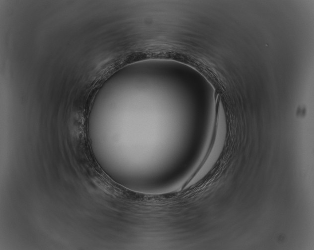 X0000091700964200708241219
