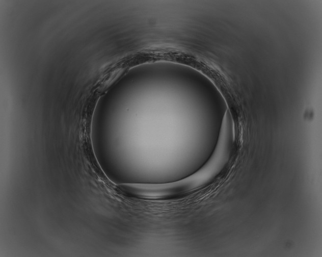 X0000091700965200708241219