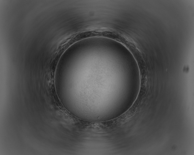 X0000091700966200708241219