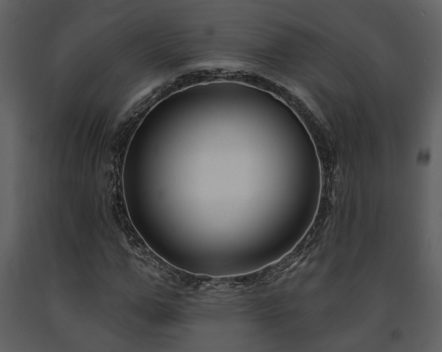 X0000091700967200708241219